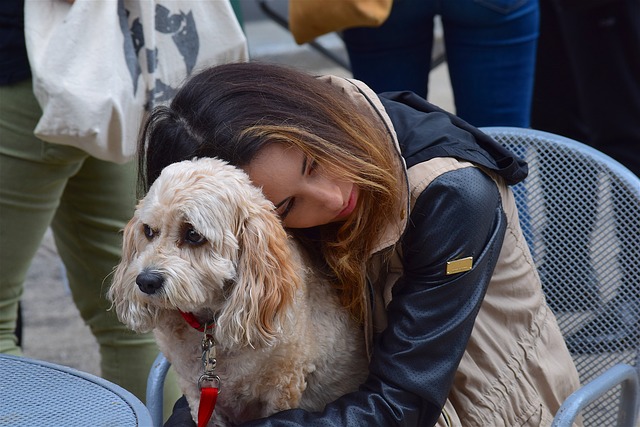 can emotional support dogs go to school with you