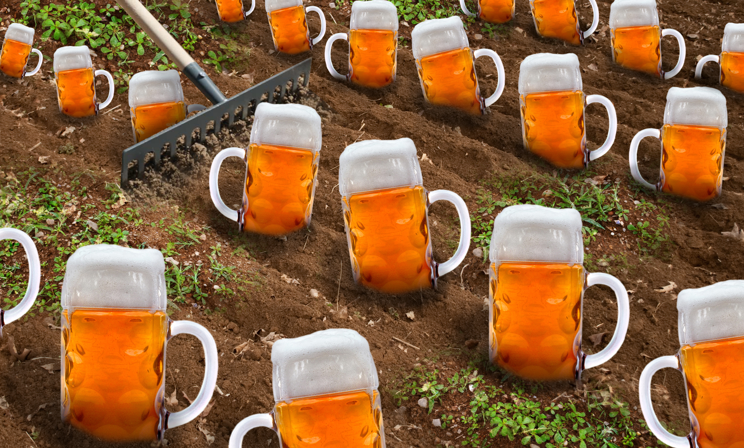 beer-garden-ready-for-harvest-the-every-three-weekly