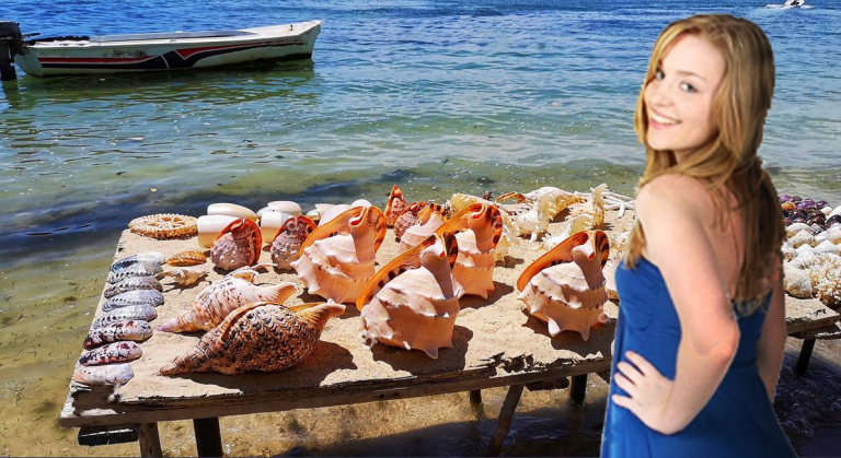 sally sells seashells by the seashore