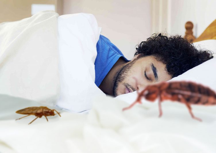 Bed with sleeping man and bed bugs