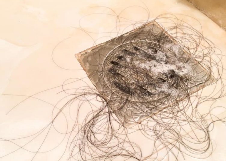 Clump of hair around a shower drain