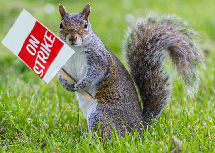a squirrel holding a sign that says "on strike"