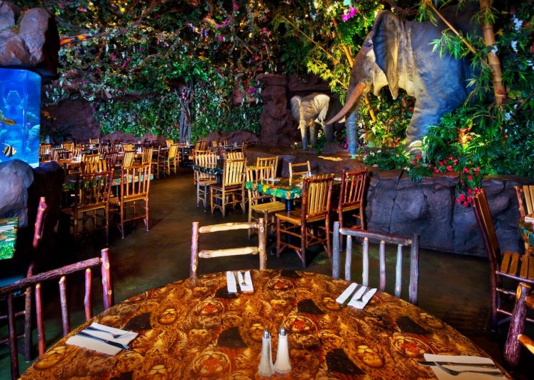 An interior shot of the Rainforest Cafe.
