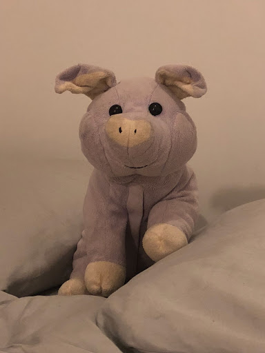 A lavender scented pig that looks in disarray.