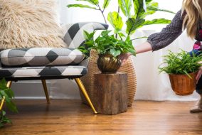 Woman setting up potted fake plant in living room