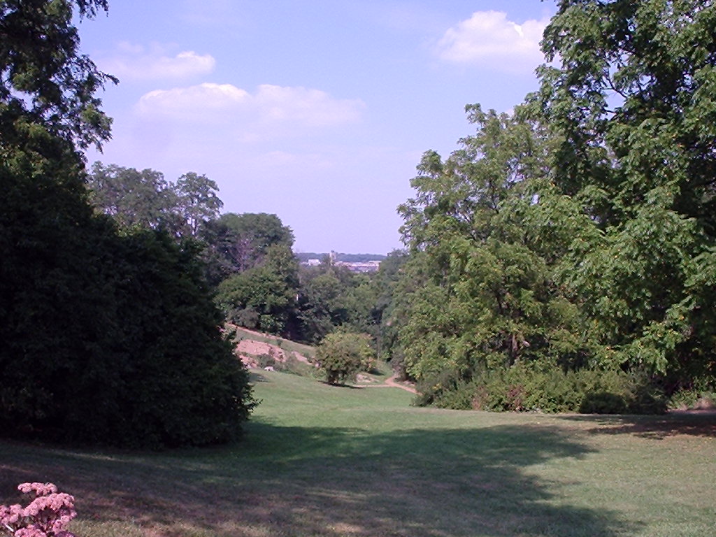 The Nichols Arboretum