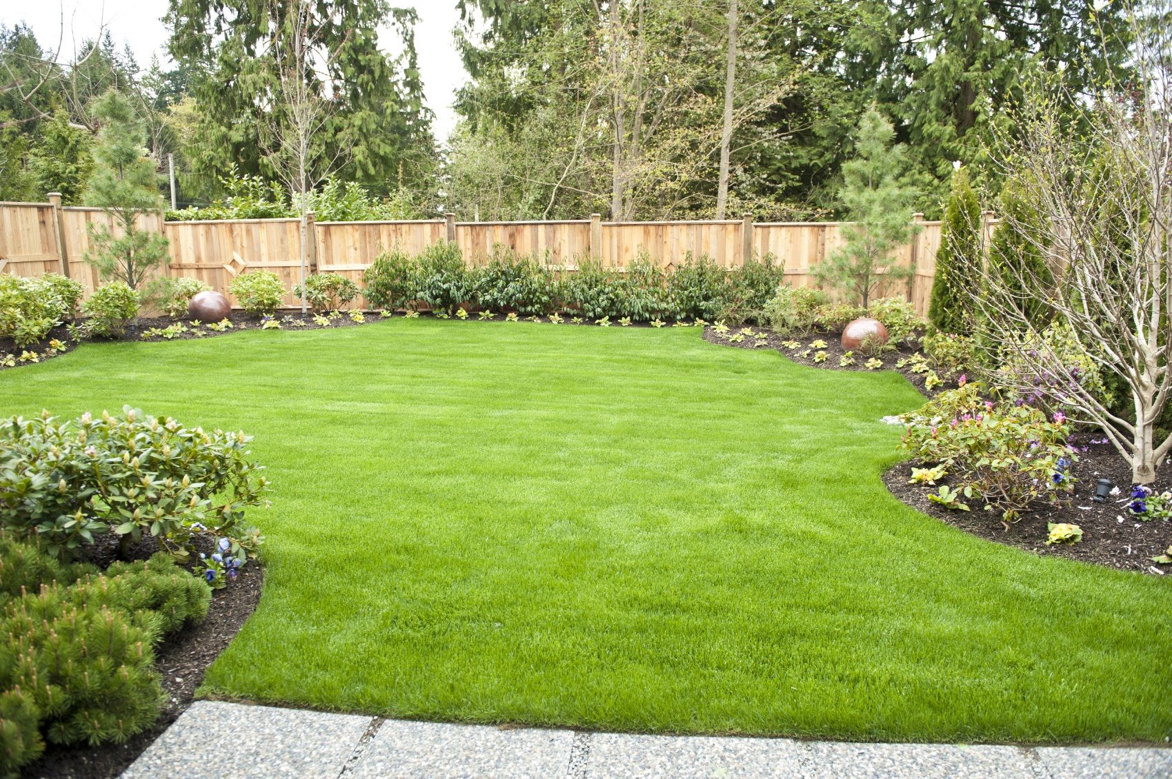 Image of grassy backyard