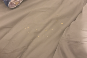crumbs in a bed