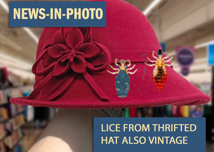 Picture of red bonnet with authentic lice on the hat. Captioned "Lice from thrifted hat also vintage"