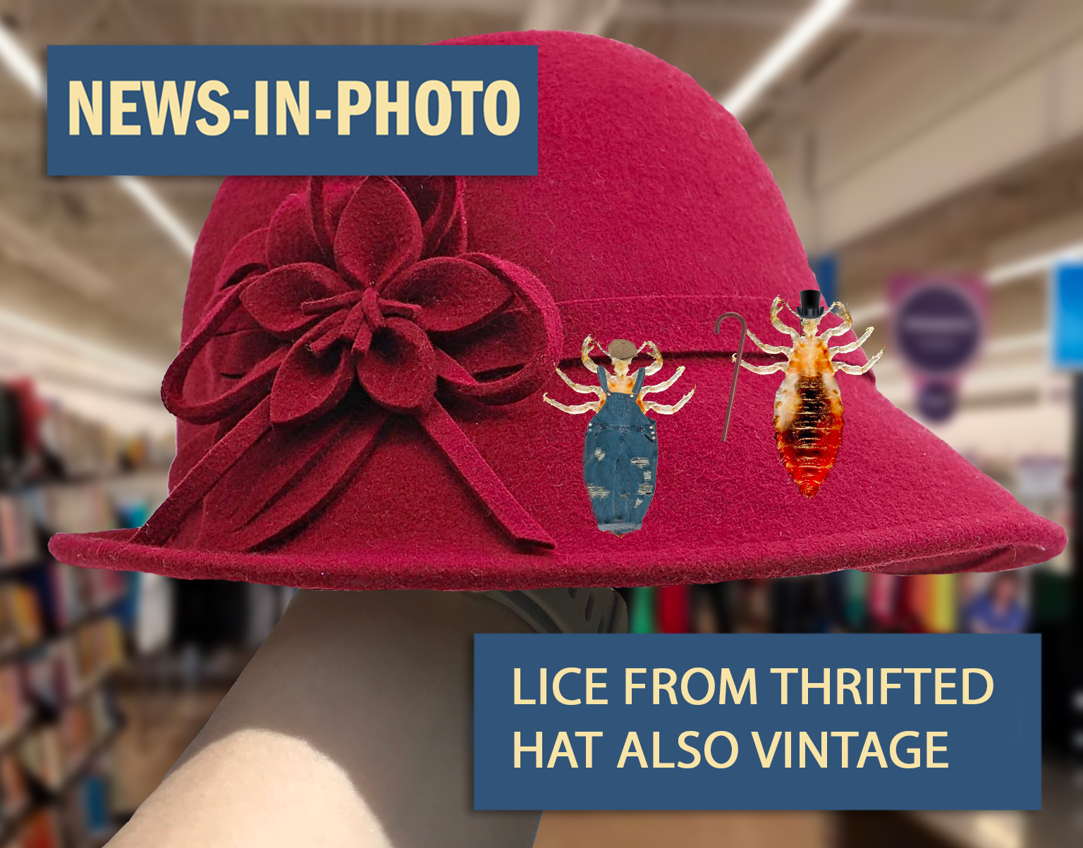 Picture of red bonnet with authentic lice on the hat. Captioned "Lice from thrifted hat also vintage"