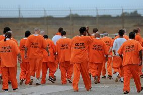 Prisoners in orange uniforms walk towards a barbed-wire fence.