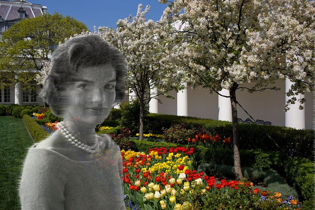 Jackie Kennedy Rose Garden