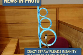 A crazy straw in front of a microphone on a courtroom witness stand
