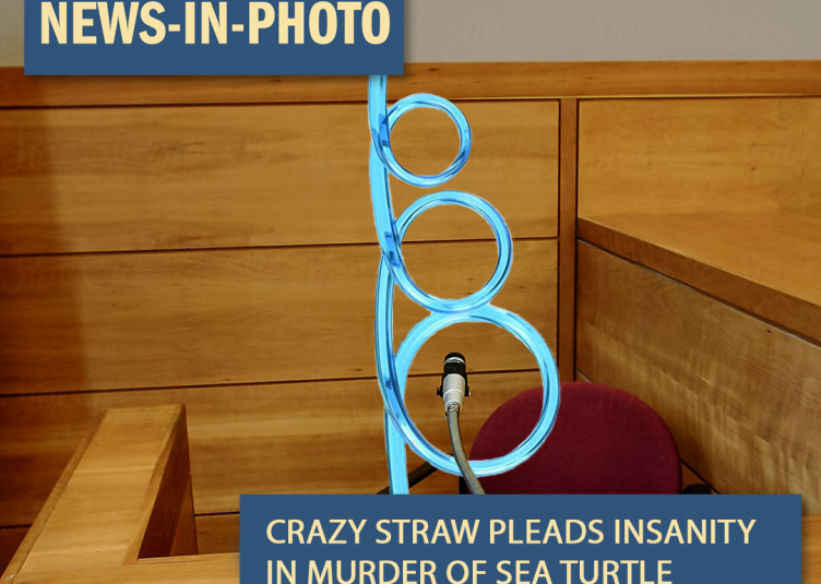 A crazy straw in front of a microphone on a courtroom witness stand
