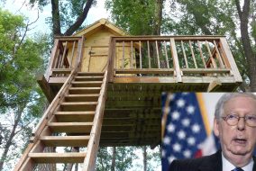 A photo of Mitch McConnell next to a photo of a treehouse.