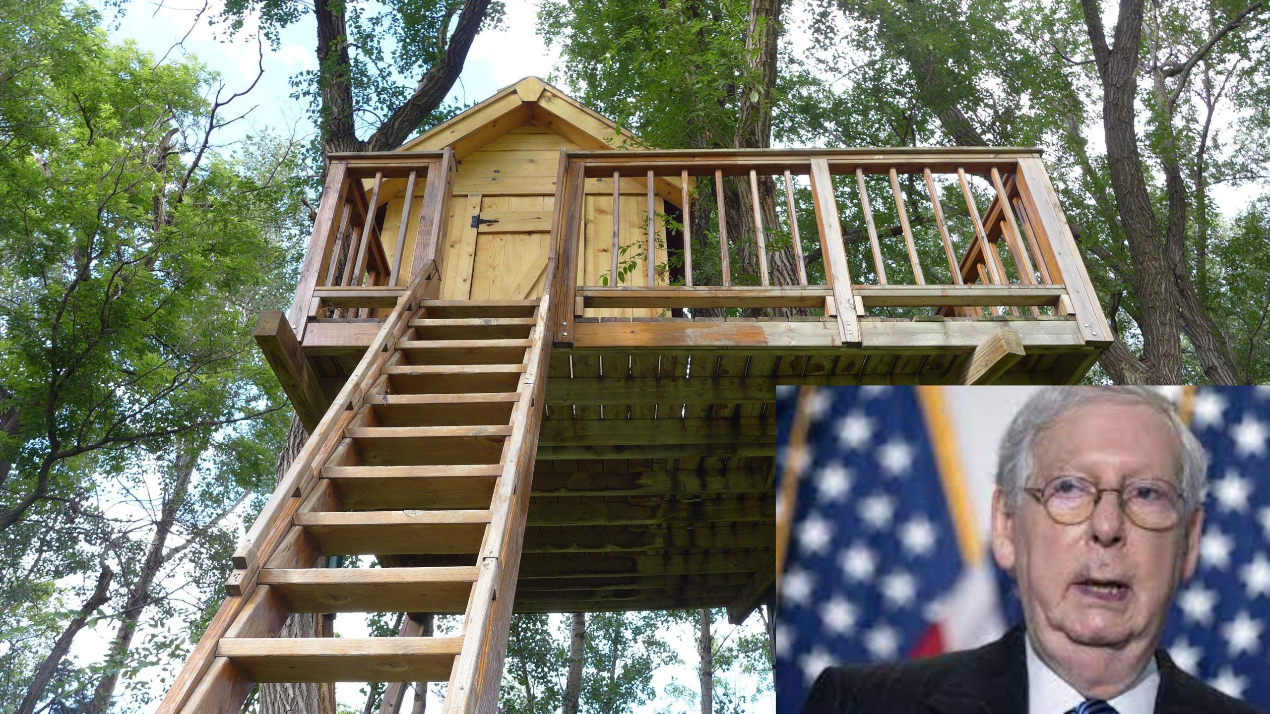 A photo of Mitch McConnell next to a photo of a treehouse.