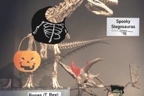 A large T-Rex dressed in a skeleton Halloween costume carrying a trick-or-treat bucket.