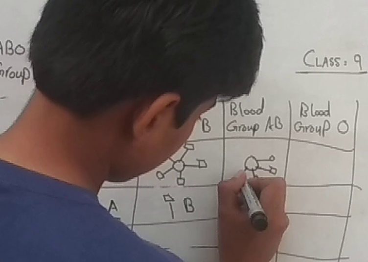 Young bully filling out a punnet square