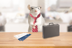 Mouse in glasses and tie