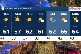 A warmer-than-average seven-day forecast overlaid against the rainforest cafe