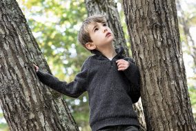 young child in tree