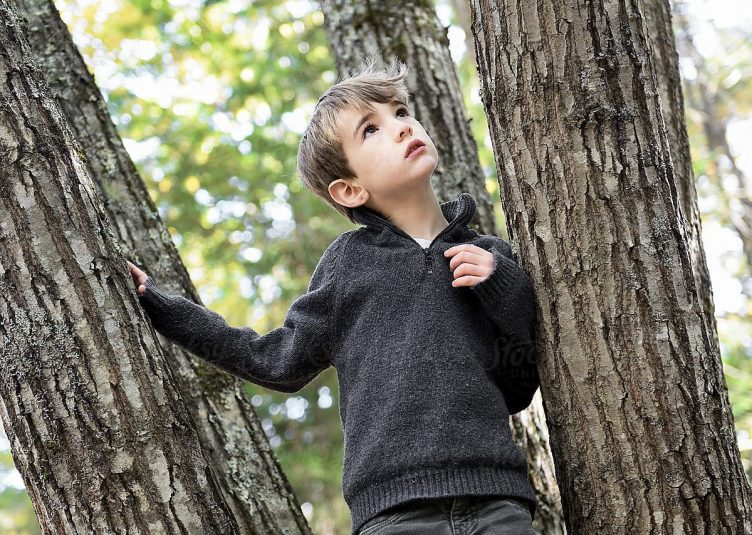 young child in tree