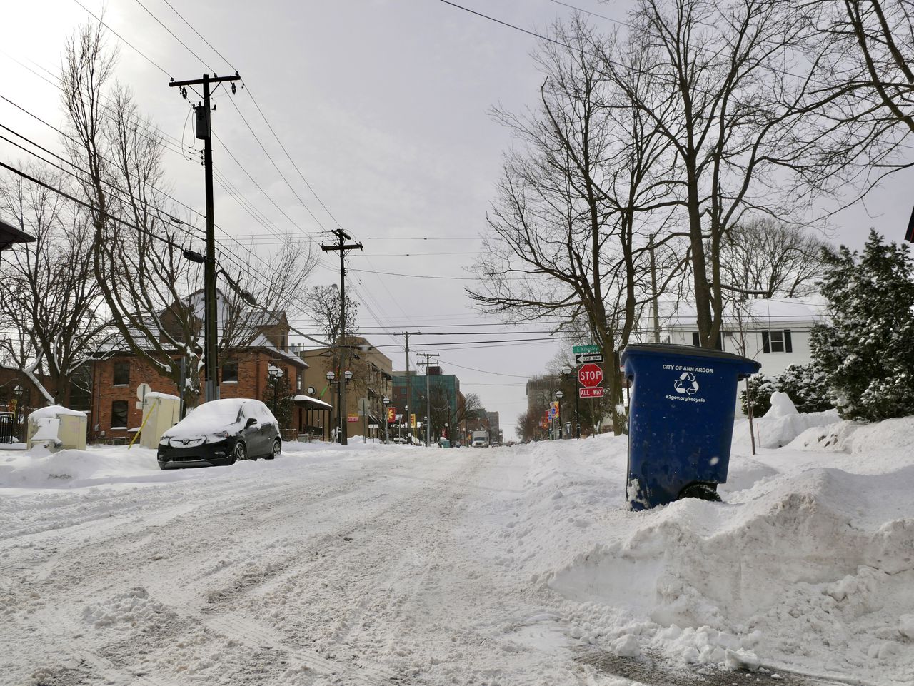 A barren residential street covered in snow with dead trees in the background