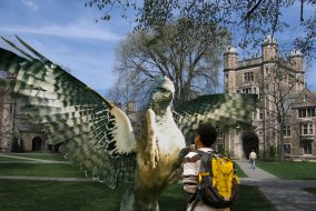 A student with a yellow backpack is attacked by a Hippogriff in the Law Quad