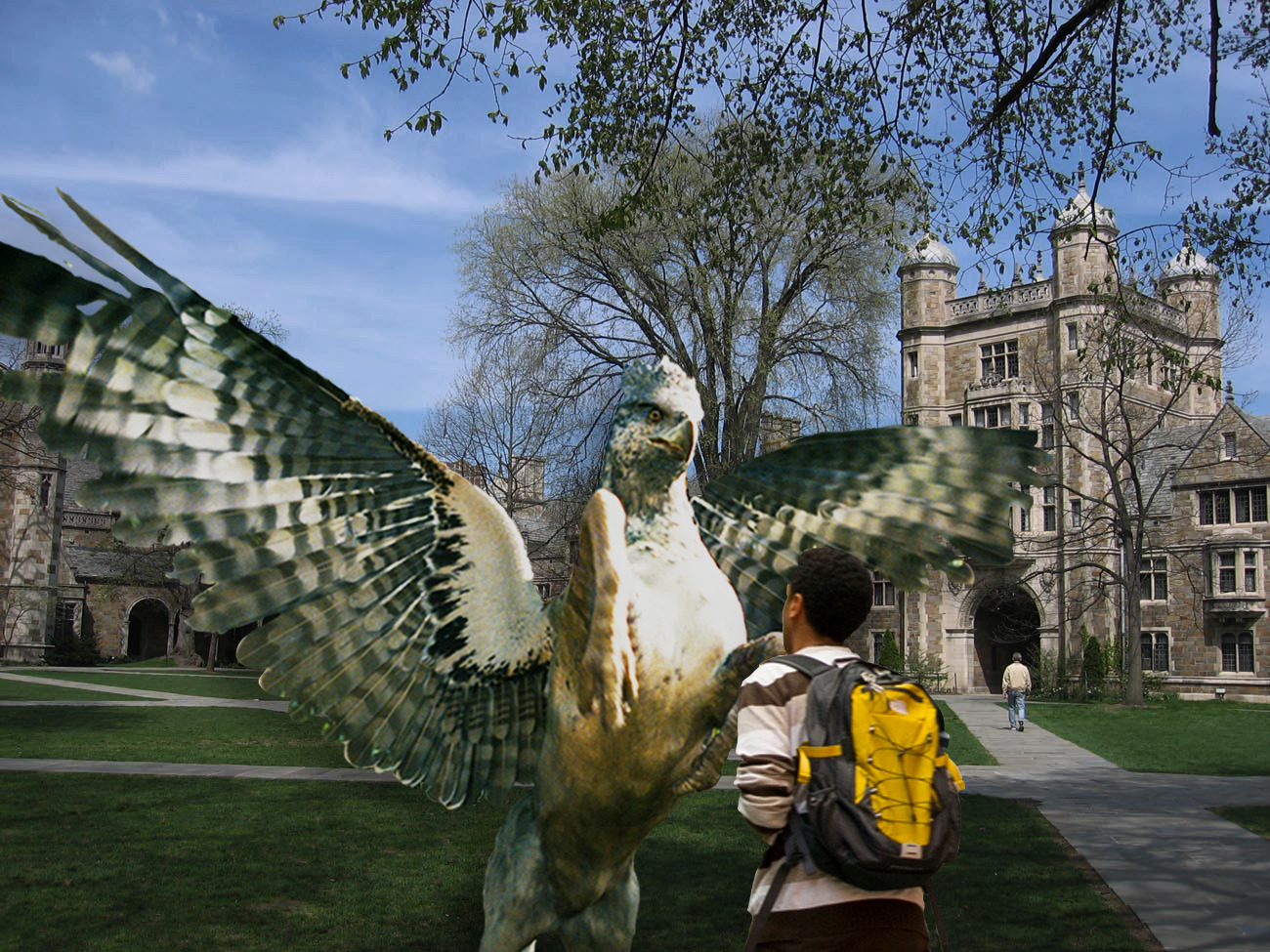 A student with a yellow backpack is attacked by a Hippogriff in the Law Quad