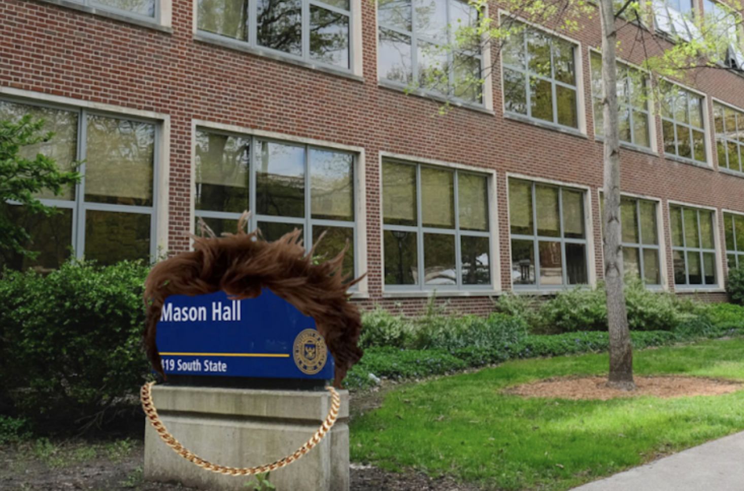 The Mason Hall sign with fluffy brown hair wearing a chain.