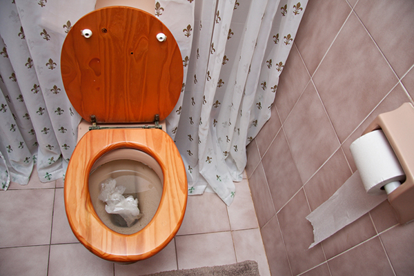 clogged toilet