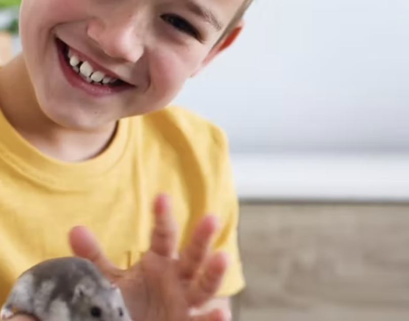 A boy wearing a yellow shirt holds a grey hamster.