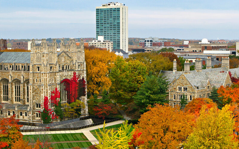 Top Five Universities In Ann Arbor